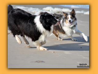 JayJay und Jayla (7).jpg